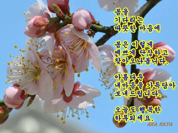 따뜻한마음 이미지