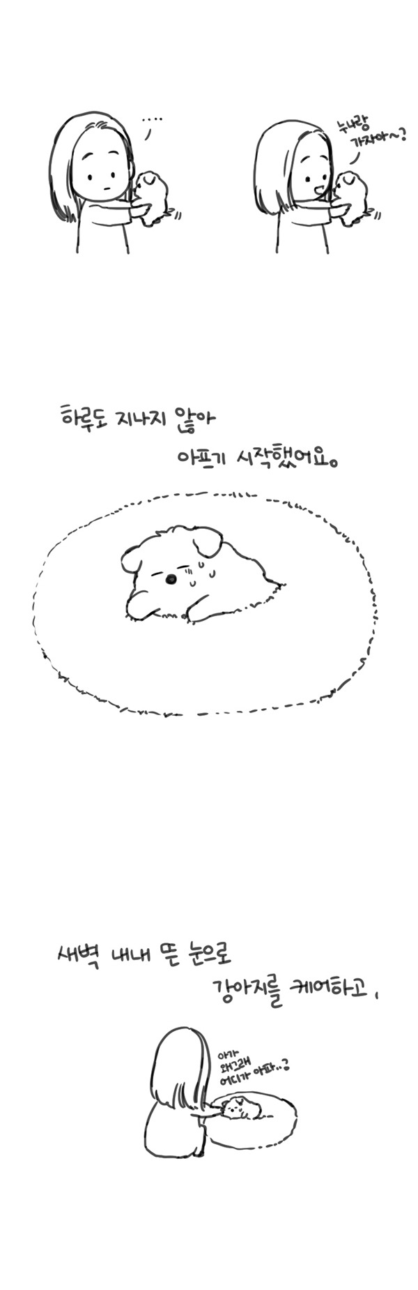 반려견 사기 피해자들의 제보를 받고 있습니다 | 인스티즈