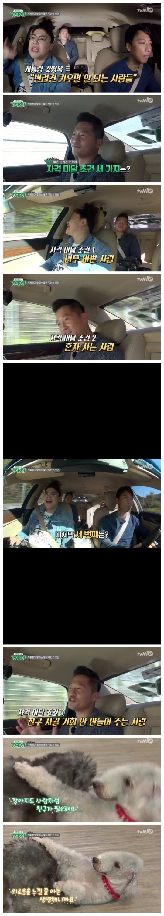 반려동물 키우면 안되는 사람들의 이유 | 인스티즈