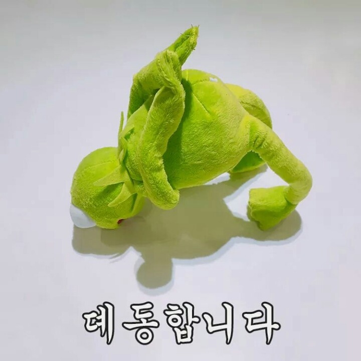 두랑 이미지
