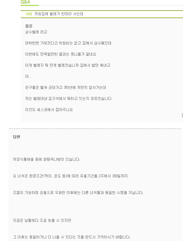 세스코 답변 중 가장 감동적이었던.jpg | 인스티즈