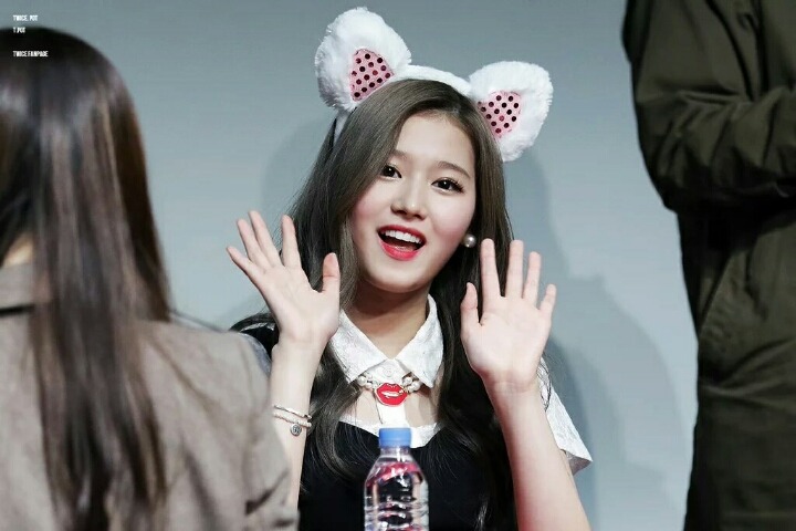 트와이스 사나랑 정연이 | 인스티즈