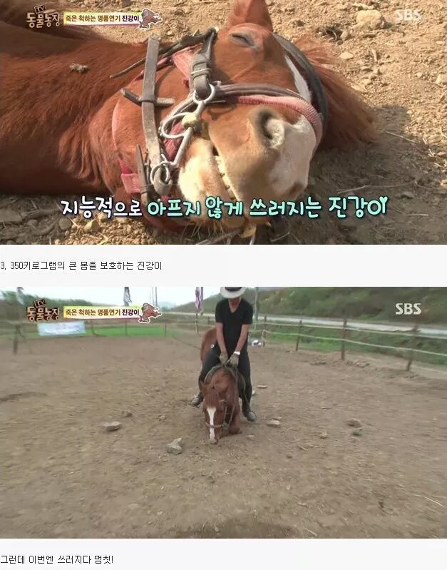 말도 안되는 말 | 인스티즈