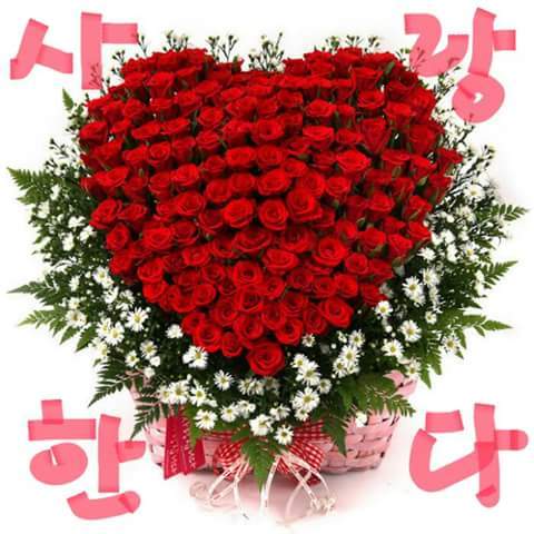 아리씨 이미지