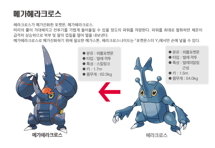 2세대 포켓몬 메가진화 | 인스티즈