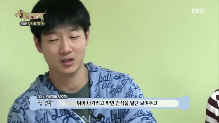 공격적인 반려견이 되는 이유 2부.jp | 인스티즈