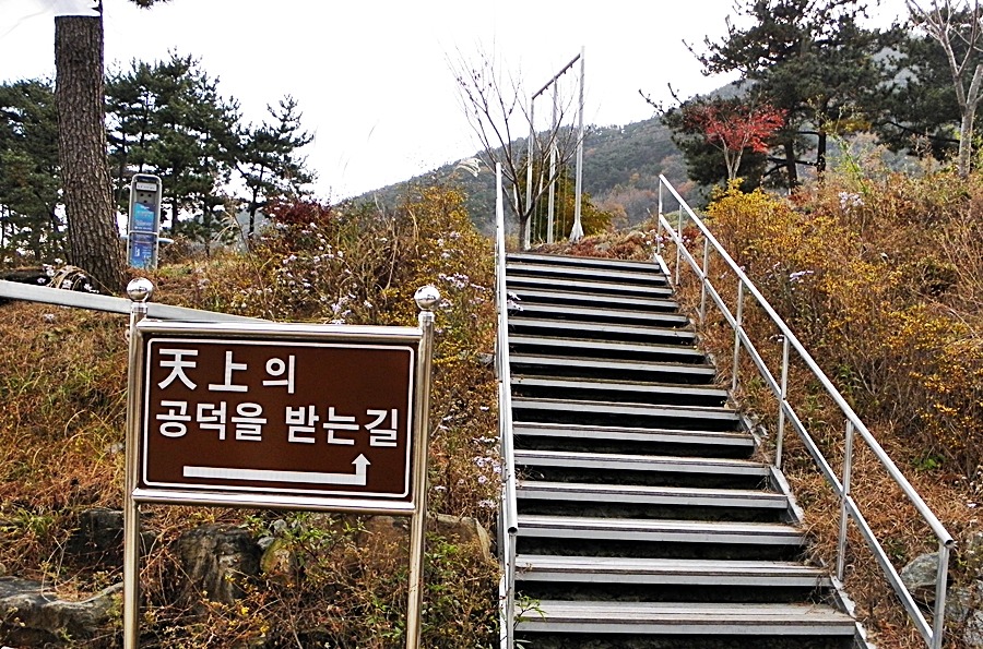돼지가왔소 이미지