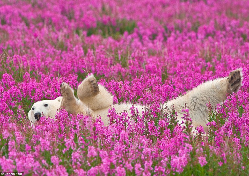 즐거운꽃밭 이미지