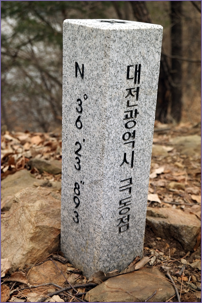 꽃봉이 이미지
