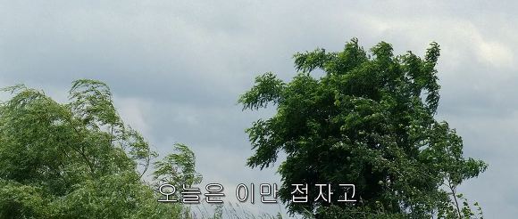 행복의 한가운데 폭풍과 맞서는 한 남자 | 인스티즈