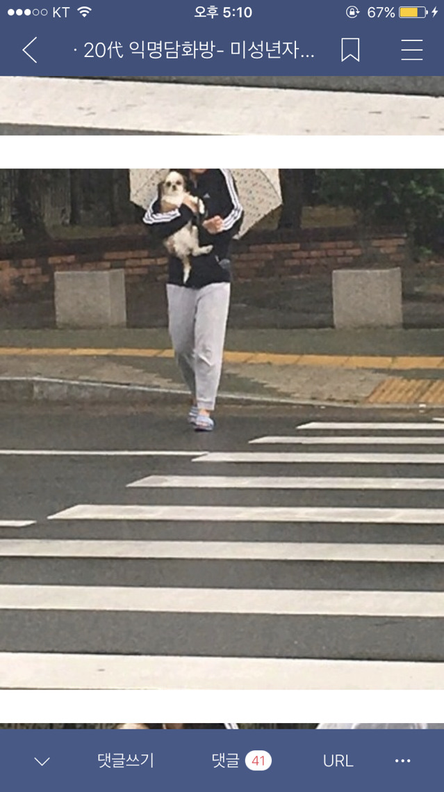 [익웃] 오늘자 하늘이 도운 도토 | 인스티즈