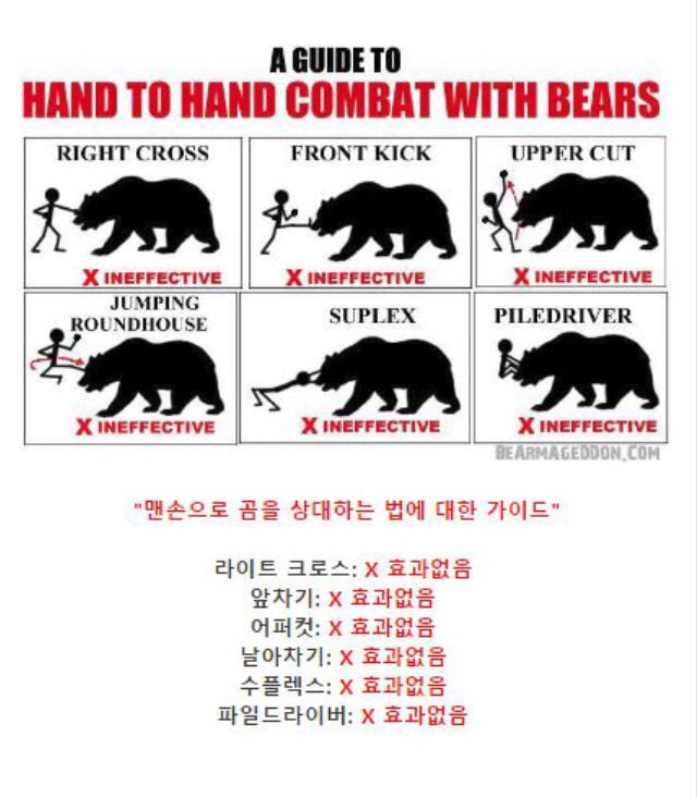 곰에게 공격당했을 때 살아남는 팁 | 인스티즈
