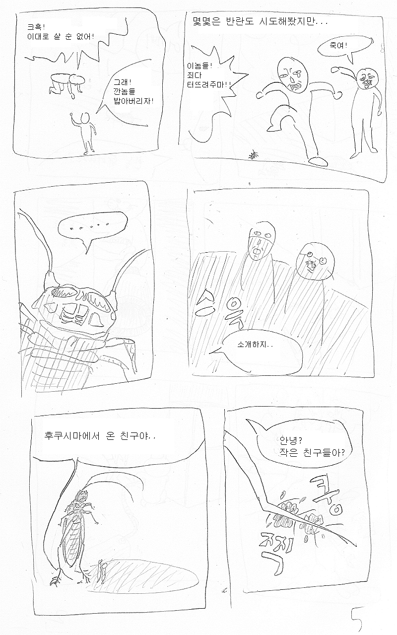 우리가 비둘기를 무시해선 안되는 이유.jpg | 인스티즈