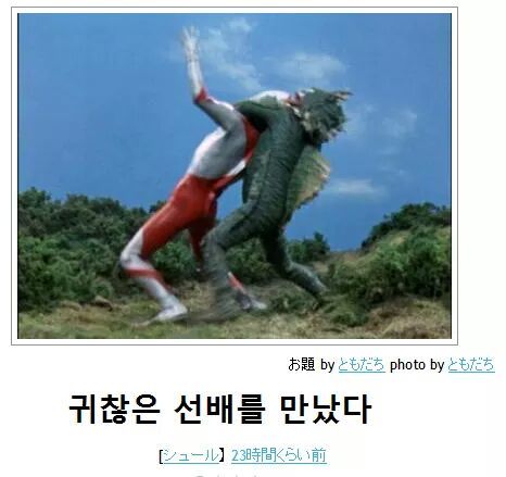 고양이 제목 학원 | 인스티즈