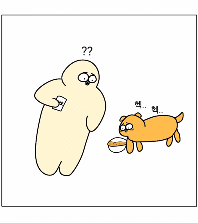 강아지가 우리 곁을 떠날 때 | 인스티즈