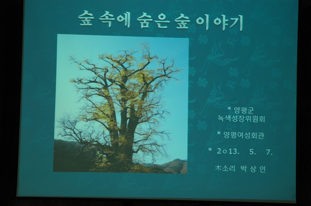 숲이야기 이미지
