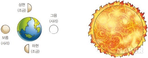 바다이야기 이미지
