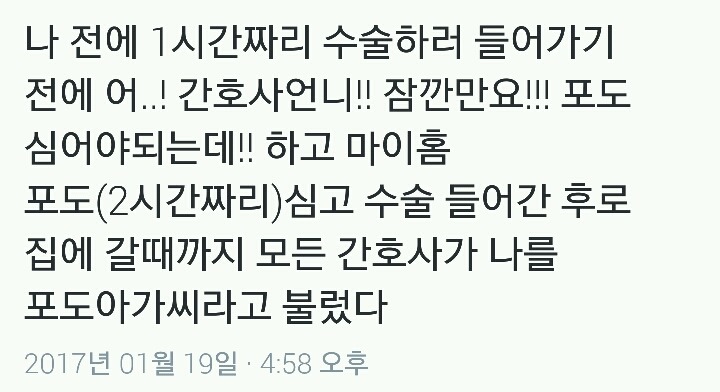 포도아가씨.twt | 인스티즈