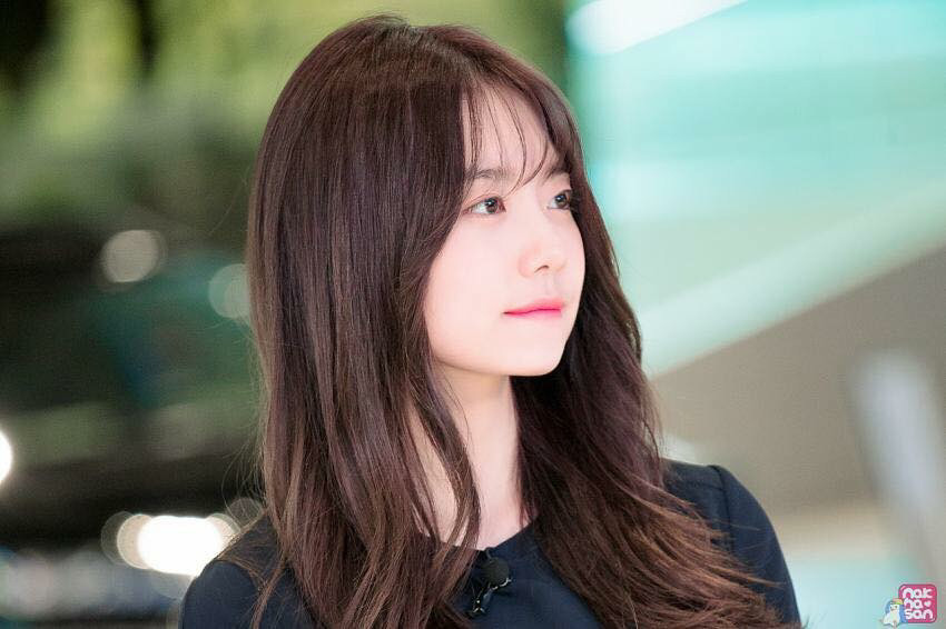 족장 이미지