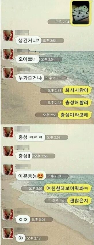 현실 남매들의 대화 | 인스티즈