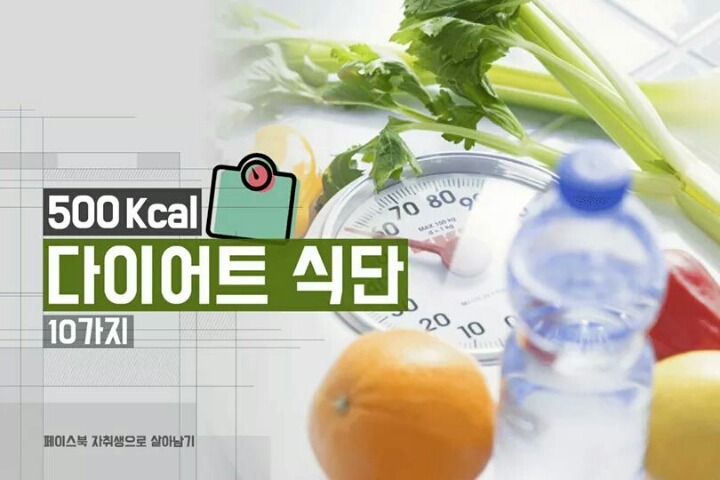 500Kcal 다이어트 식단 10가지 | 인스티즈