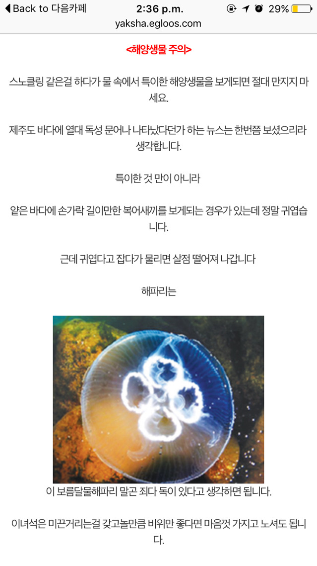 여름철 물놀이 안전 수칙 (물놀이 가기전 읽어보시길 추천) | 인스티즈