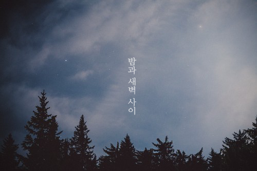 올라라 이미지