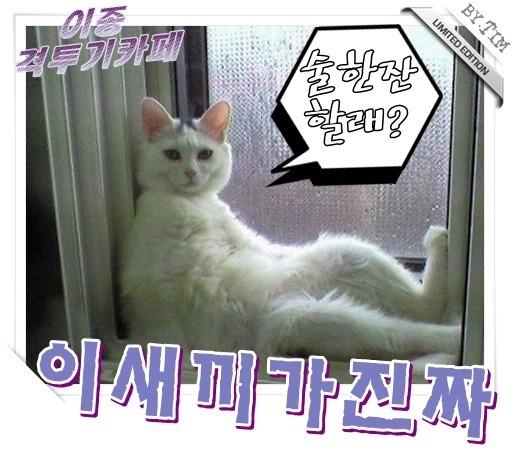 고냥이.gif | 인스티즈