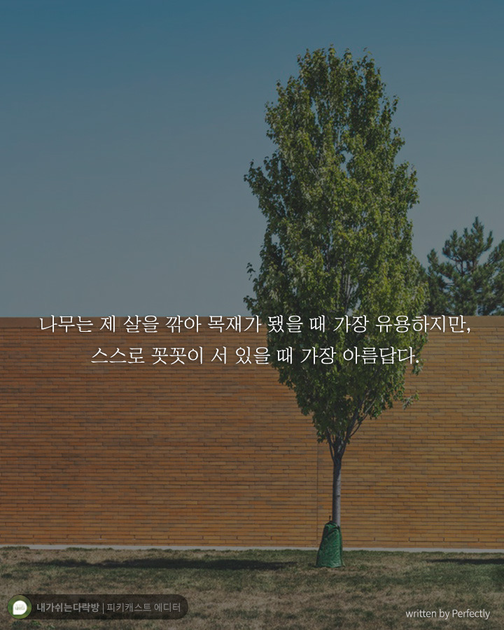  치열하게 달려온 당신에게 꼭 해주고 싶은 말 | 인스티즈