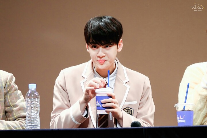 우야 이미지