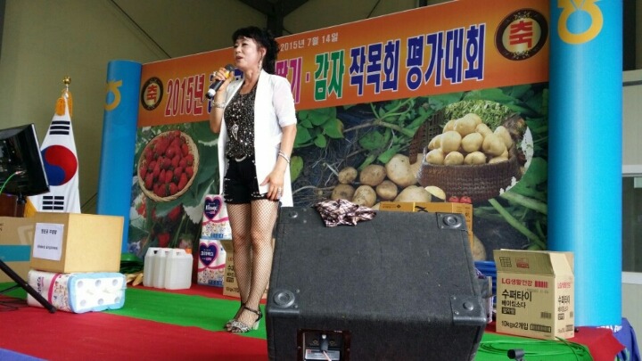 순정감자 이미지