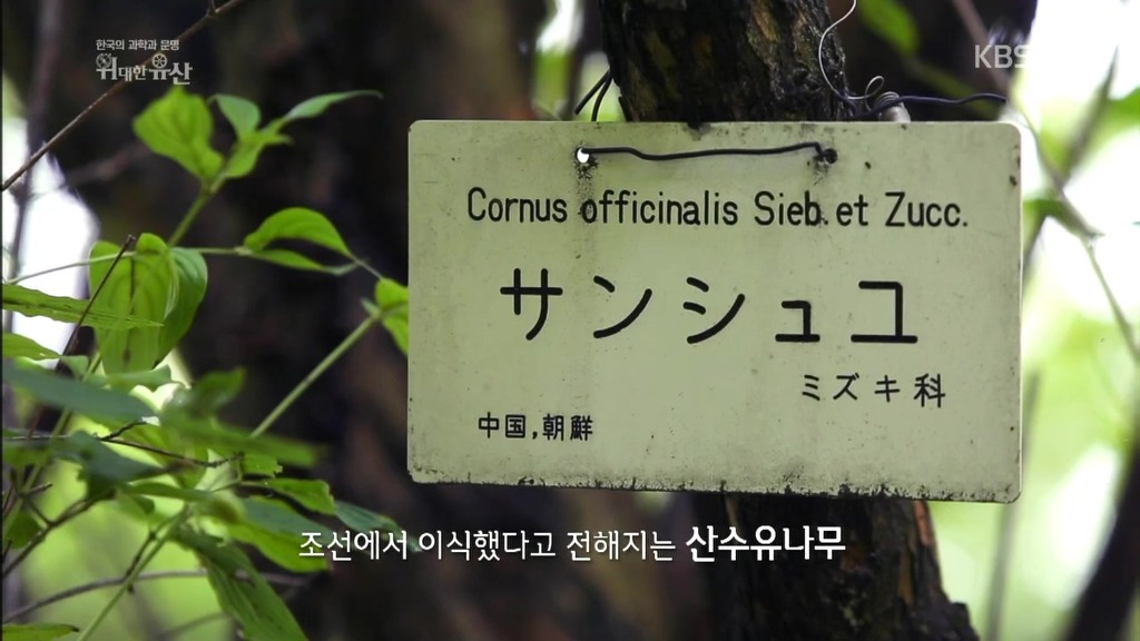 세계가 말하는 한의학과 동의보감 | 인스티즈
