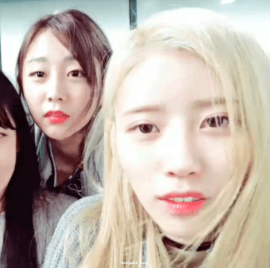  100번째 글이라서 미주 | 인스티즈