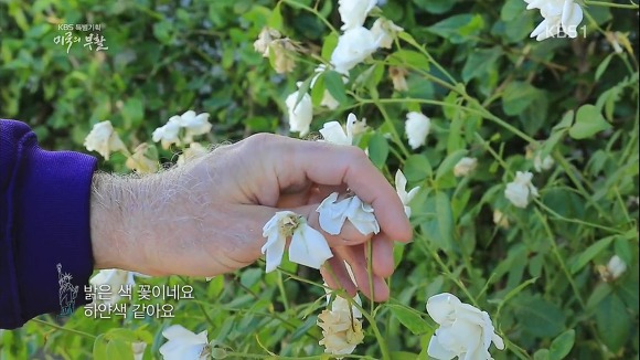 미국의 부활 1부 | 인스티즈