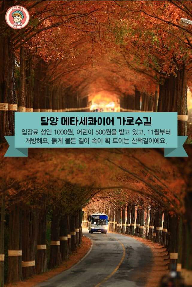 전국의 가을 단풍 여행지 추천 8곳 | 인스티즈