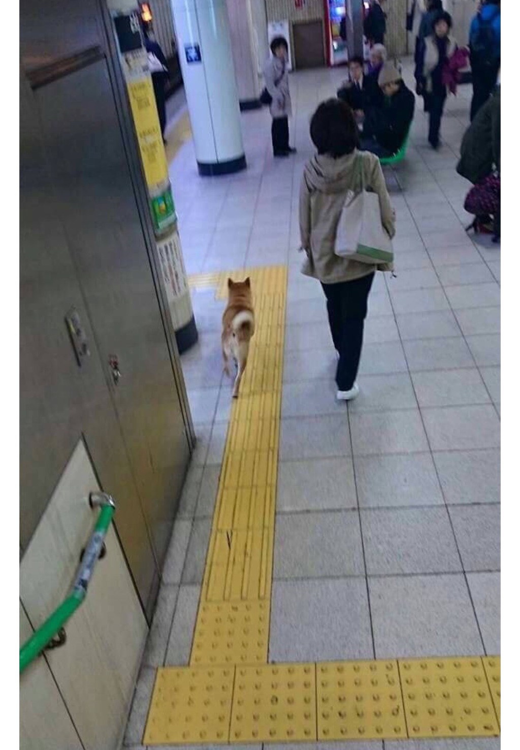 와..무임승차..ㄷㄷ | 인스티즈