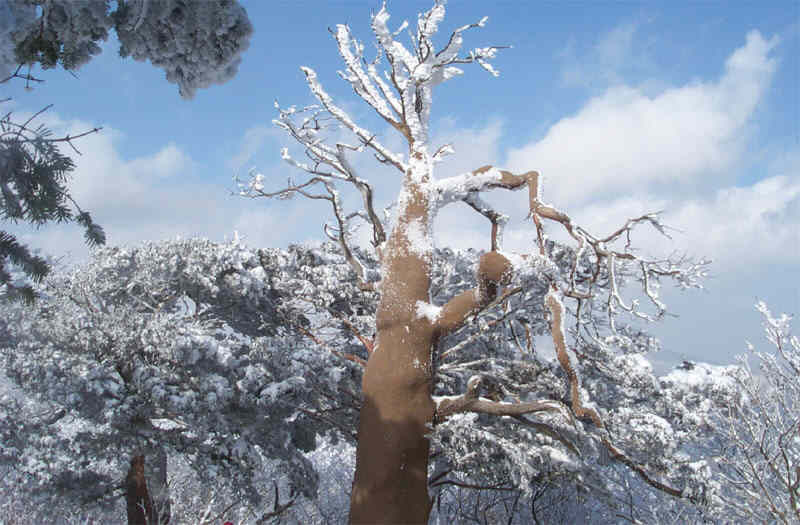 태백고속관광(주) 이미지