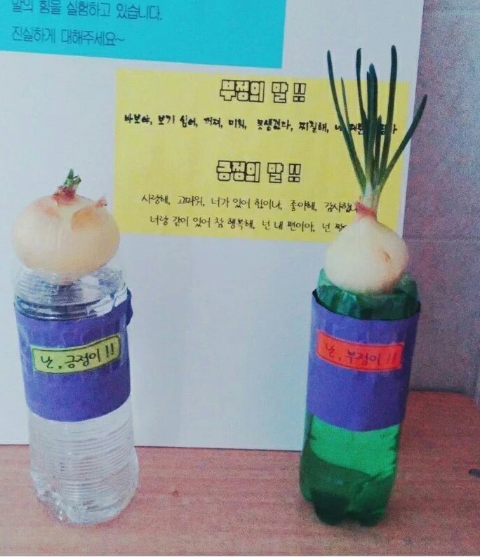 부정의 언어가 갖고 있는 무서운 힘 | 인스티즈