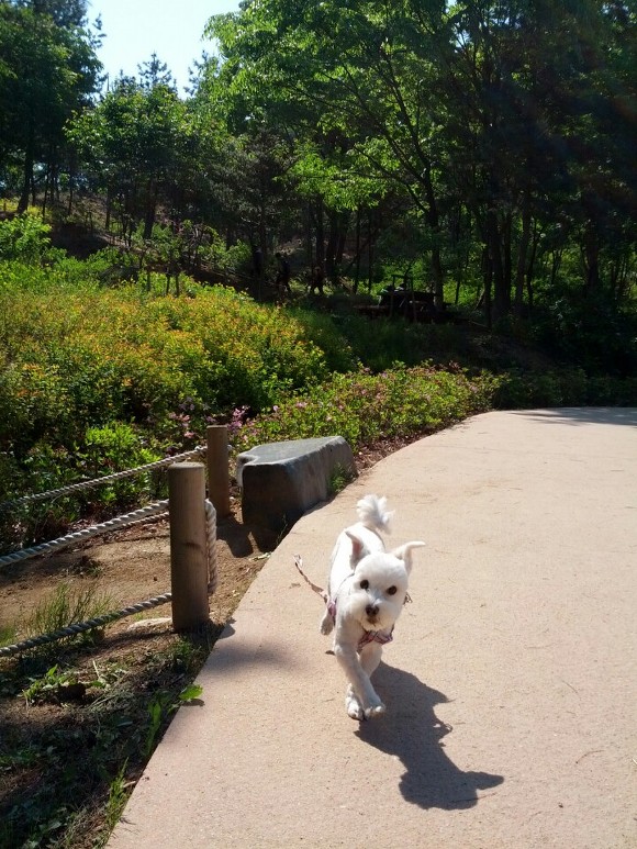 하늘스튜디오 이미지