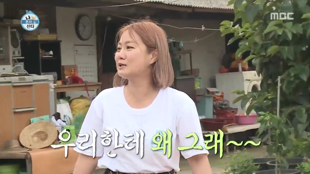 [나혼자산다] 오늘자 십년감수한 이시언ㅋㅋㅋ.jpgif | 인스티즈