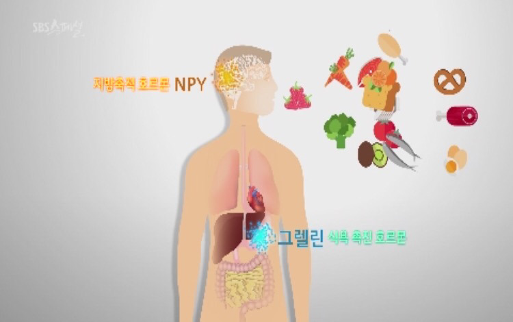 다이어트의 종말 (sbs스페셜) | 인스티즈