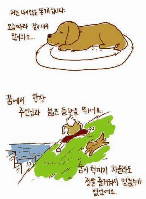 강아지와 주인의 이별법 | 인스티즈