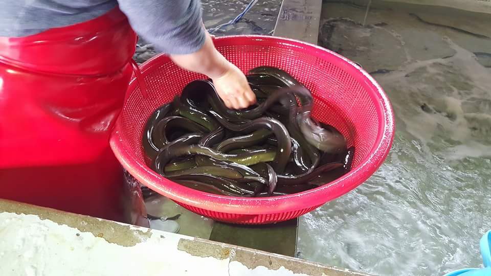 고창풍천수산 이미지