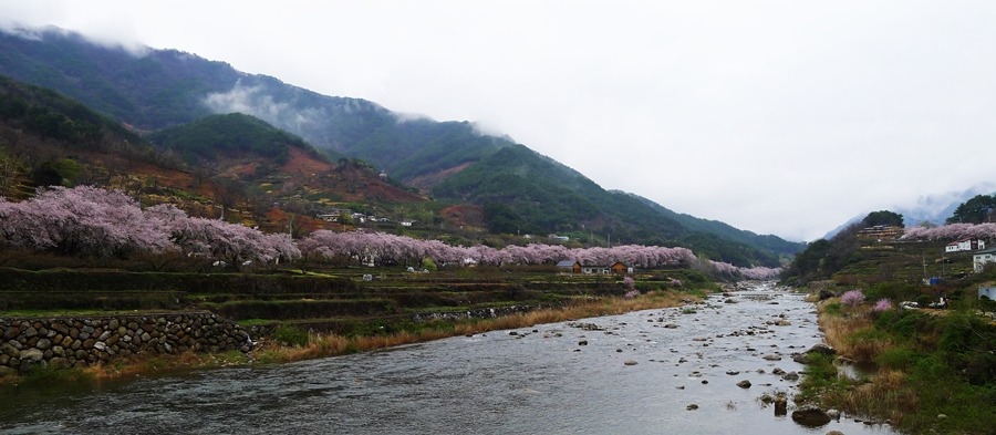 하동 이미지