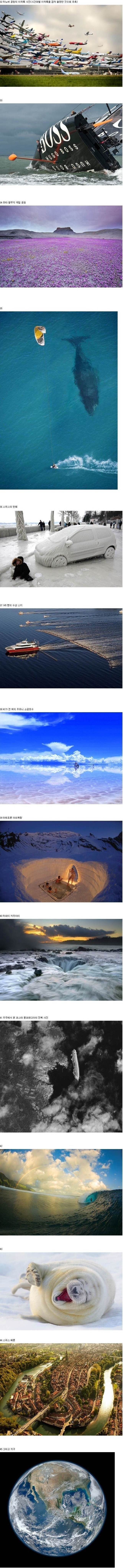 세계의 기묘한 순간포착 | 인스티즈