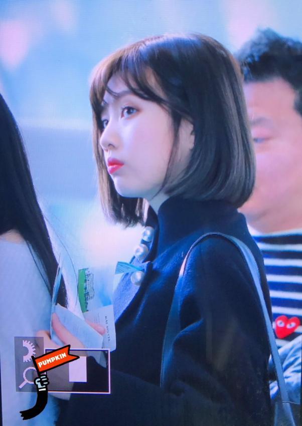 오늘자 일본 출국하는 레드벨벳 완전체 | 인스티즈