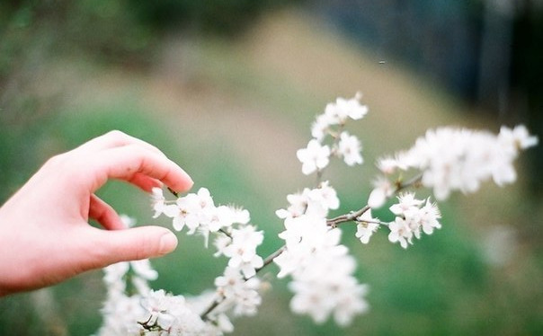 당신과 나 사이에 거리가 있어야 당신과 나 사이로 바람이 분다 | 인스티즈