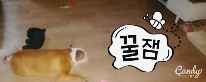 뽕자 이미지