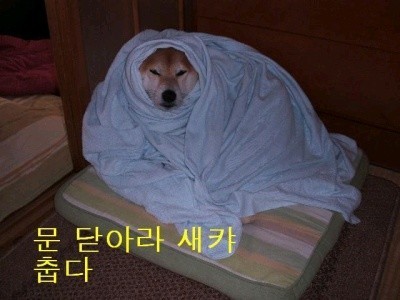 앙 이미지