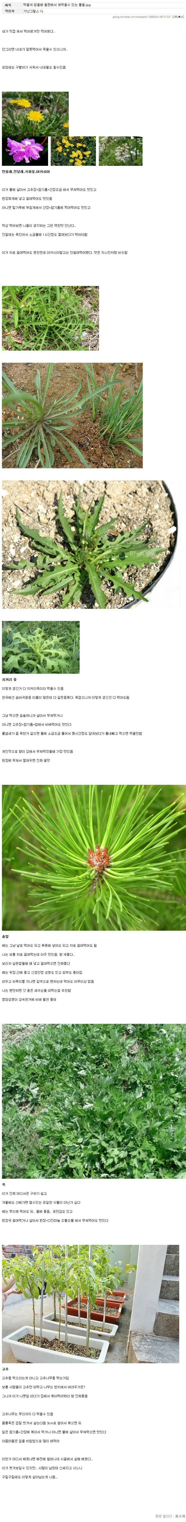 가난그릴스가 알려주는 가성비 만원으로 한달 지내기 | 인스티즈